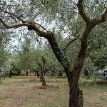 M & A Valbandon, - B * Fažana