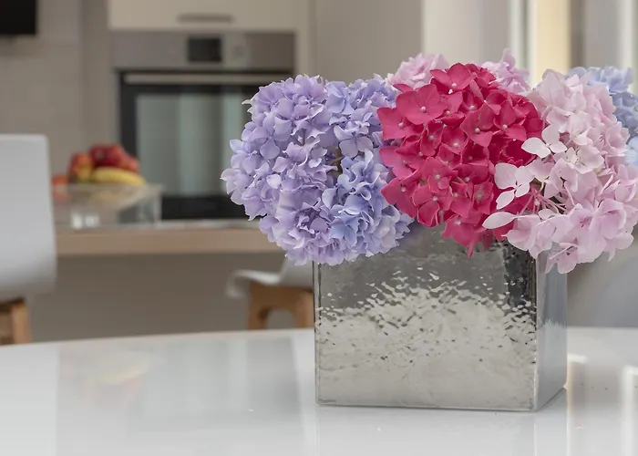 M & A Valbandon, - B Apartment *