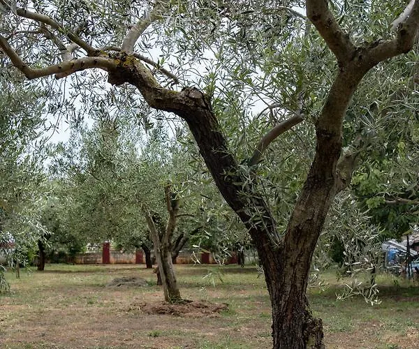 M & A Valbandon, - B * Fazana