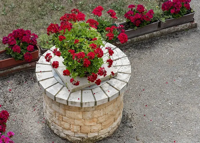 Apartment M & A Valbandon, - B *