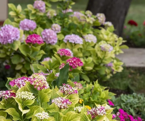 M & A Valbandon, - B