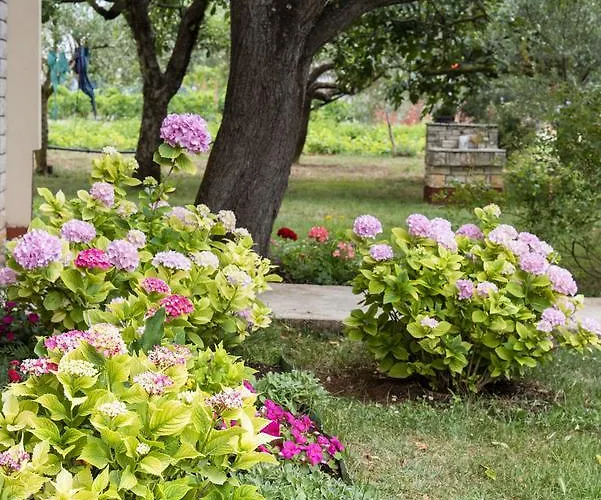 M & A Valbandon, - B Apartment